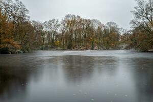 grön växt del på frysta sjö i vinter- foto