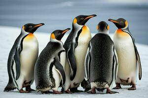 ai genererad fem pingviner i snö foto