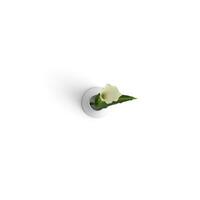 calla i full blomma vibrerande och underbar blommor foto