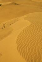 las dunas de maspalomas på gran canaria foto