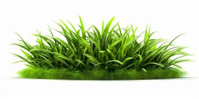ai genererad färsk grön gräs isolerat på vit bakgrund. generativ ai foto