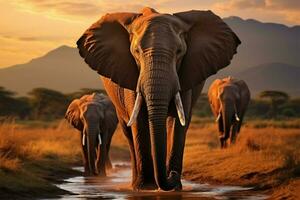 ai genererad afrikansk vilda djur och växter elefanter korsning olifant flod i amboseli nationell parkera foto