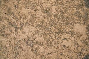 ko dynga brun plåster av jord abstrakt textur bakgrund landsbygden av bangladesh foto