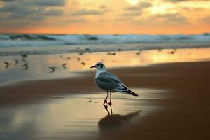 ai genererad seagulls silhuett, strand, hav, och sand sammanfoga i poetisk enkelhet foto