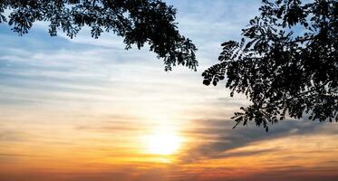 silhuett av blad på träd gren och suddig av orange solnedgång natur bakgrund, ta i kväll, morgon- himmel, roman känsla, långsam liv foto