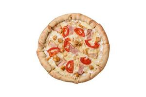 utsökt varm pizza med kyckling, tomater, ost och bacon, med salt och kryddor foto