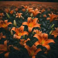 ai genererad orange liljor i en fält foto