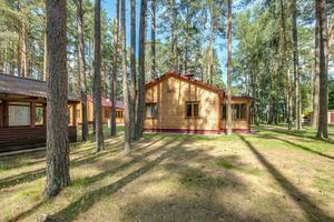 trä- eco Land hus i pinery skog foto