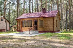 trä- eco Land hus i pinery skog foto