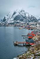 reine fiske by, Norge foto