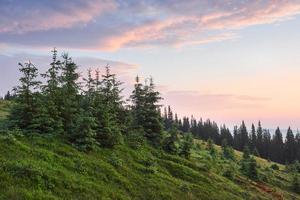 resa, vandring. sommarlandskap - berg, grönt gräs, träd och blå himmel foto