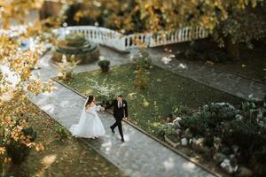 ung skön bröllop par innehav händer gående i de trädgård, Foto skott från ovan, skott på ts-e systemet lins