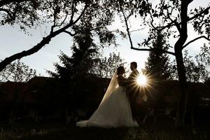 en bröllop par innehav händer medan stående i en trädgård mot ett Fantastisk solnedgång. foto