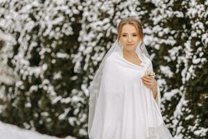 vinter- brud, porträtt av en skön brud i en vit poncho och bröllop klänning i en vinter- parkera foto