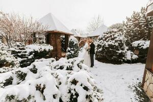 Lycklig nygifta mellan snöig träd. de brudgum kramar de brud i de vinter- parkera. leende brud med en bukett av blommor i en bröllop klänning och vit poncho. de brudgum är klädd i en svart täcka. foto