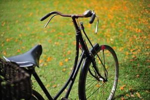 vintage klassisk gammal cykel på utomhuspark foto