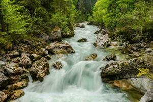 rusa torrent med vit vatten och stenar i grön natur foto