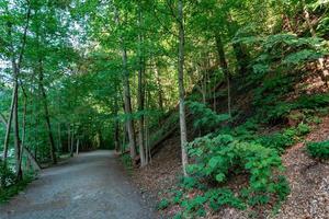 Taughannock Falls - Gorge Trail foto