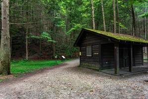 robert h. treman state park - stugor foto