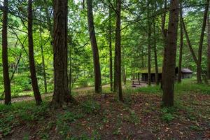 robert h. treman state park - stugor foto