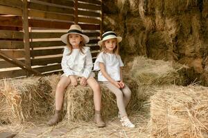 två liten flickor i Land stil kläder Sammanträde i höloft på sommar dag foto