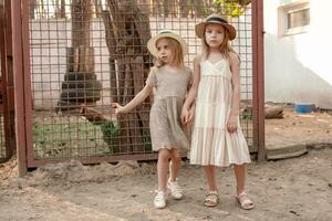 två vänlig mellan systrar innehav händer stående nära fjäderfän inhägnad i gård foto