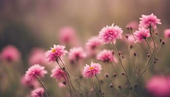 ai genererad rosa blommor i en fält med en suddigt bakgrund foto