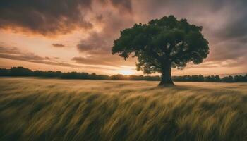 ai genererad en ensam träd står i en fält med en dramatisk solnedgång foto