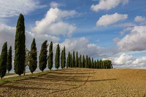 känd tuscany landskap med böjd väg och cypress, Italien, Europa. lantlig odla, cypress träd, grön fält, solljus och moln. foto