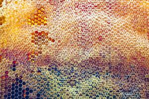släppa av bi honung droppa från hexagonal bikakor fylld med gyllene nektar foto