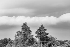 skön horisont landskap i by äng på Färg naturlig bakgrund foto