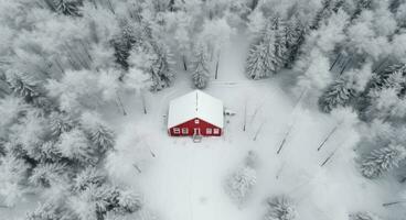 ai genererad antenn se av en röd hus i vinter- skog foto