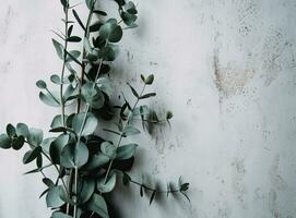 ai genererad en enda eukalyptus växt staplade mot en vit vägg foto