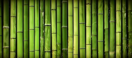 ai genererad naturlig grön bambu bakgrund. foto