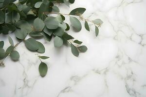 ai genererad grenar av eukalyptus löv på en marmor bakgrund foto