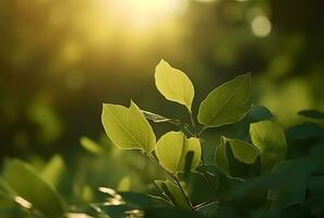 ai genererad färsk grön blad med solljus på suddig grönska bakgrund. naturlig grön löv bokeh. foto