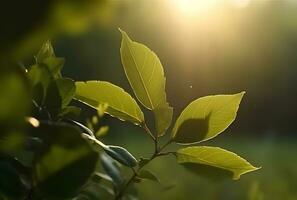 ai genererad färsk grön blad med solljus på suddig grönska bakgrund. naturlig grön löv bokeh. foto