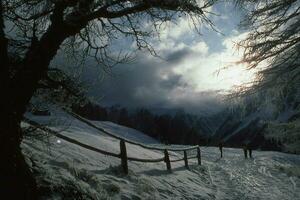 en snöig berg väg med en staket och träd foto