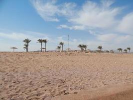 naturstränder på orten i egypten sharm el sheikh foto