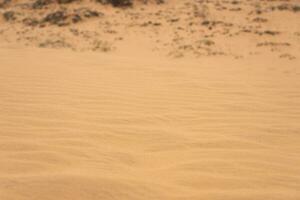 de textur av sand i de öken- som en naturlig bakgrund. foto