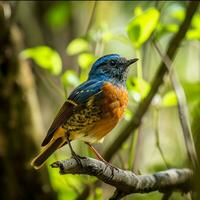 ai genererad fotografera av en skön färgrik fågel i de amazon regnskog i Brasilien foto