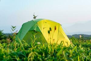 turist tält bland de gräs i de strålar av de morgon- Sol foto