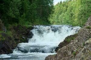 naturlig landskap med en klar vattenfall på en skog flod foto