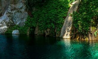 tropisk vegetation på stenar i en kanjon nära klar blå vatten foto