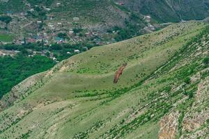 svart gam svävar över en bergig område i dagestan foto