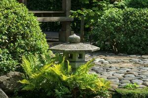 sten lykta amonf ormbunkar i en japansk trädgård foto