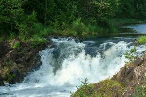 naturlig landskap med en klar vattenfall på en skog flod foto