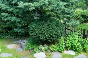japansk trädgård landskap med sten lykta under tall träd foto