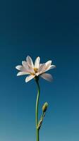 ai genererad en enda vit blomma med en blå himmel i de bakgrund foto