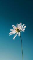 ai genererad en enda vit blomma med en blå himmel i de bakgrund foto